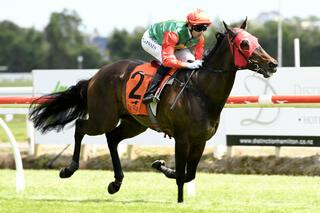 Indecision (NZ) claiming her second black-type win on Saturday at Te Rapa. Photo: Race Images 